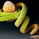 Illustration for article titled Extraordinary eggs and caterpillars are as beautiful as the butterflies